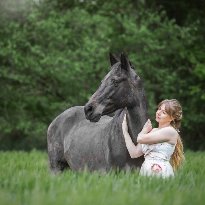 Photo d'un cheval noir et fille blonde dans un champ vert